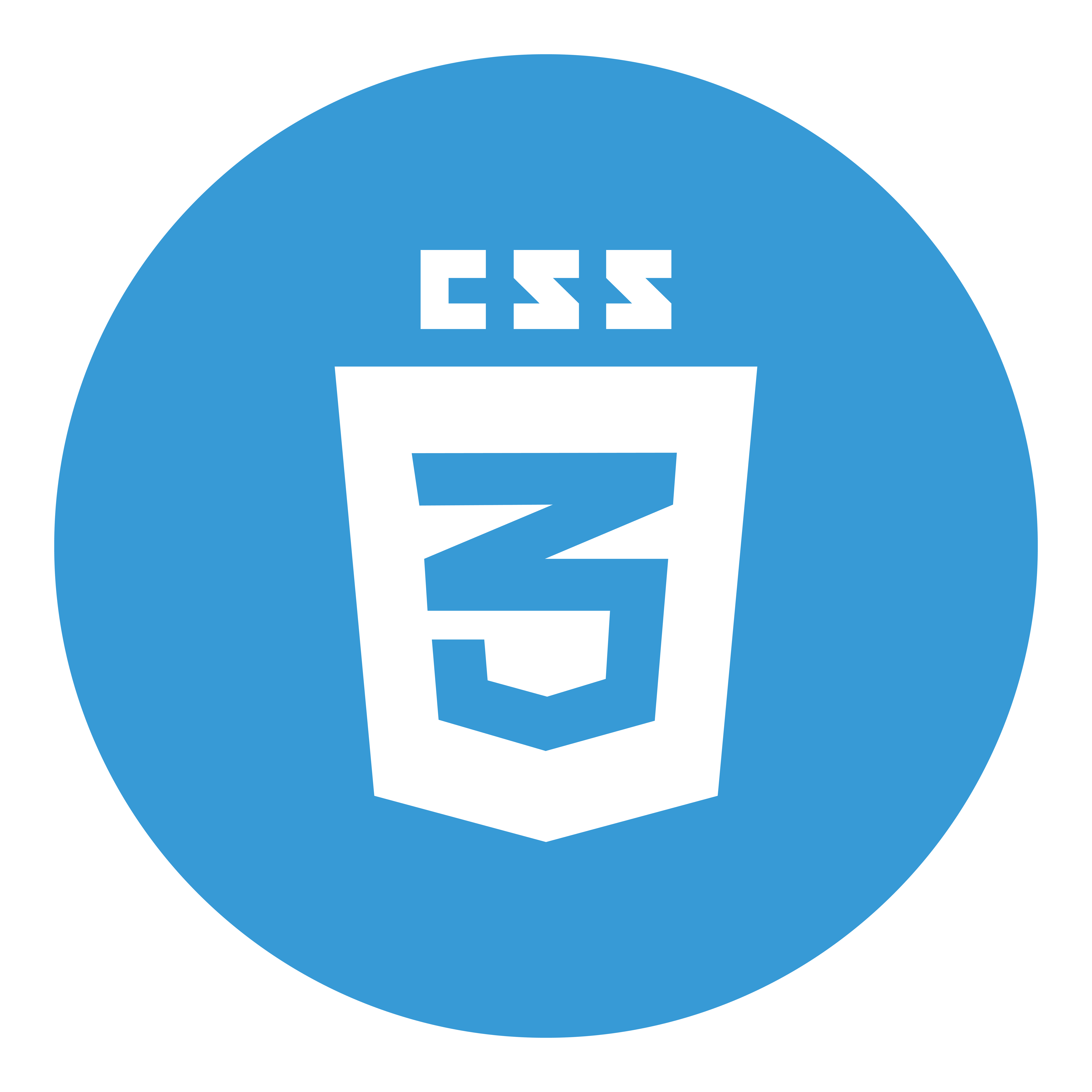 css-logo img
